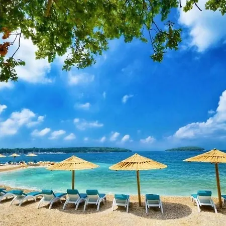 Vinomore Comfortable